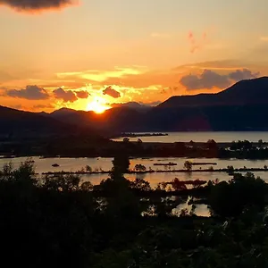 Forest Iseo